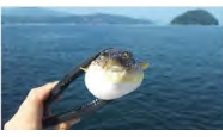 第165回パートナー会