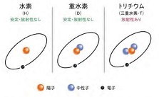第166回パートナー会